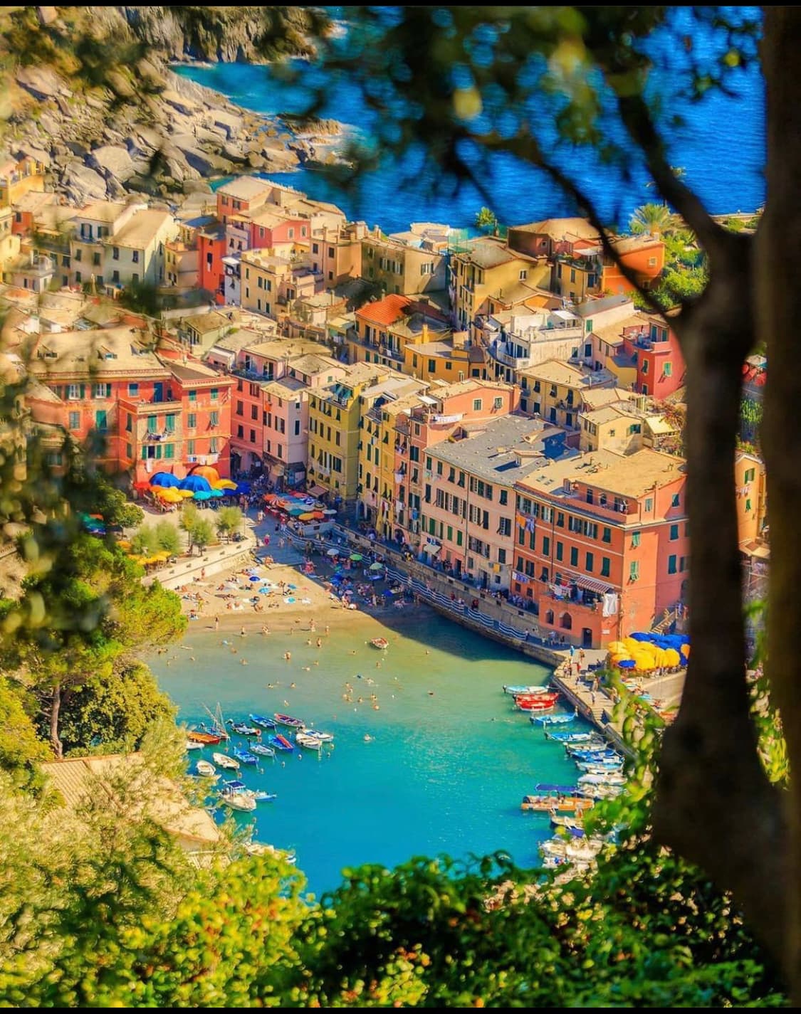 Pisa e Cinque Terre