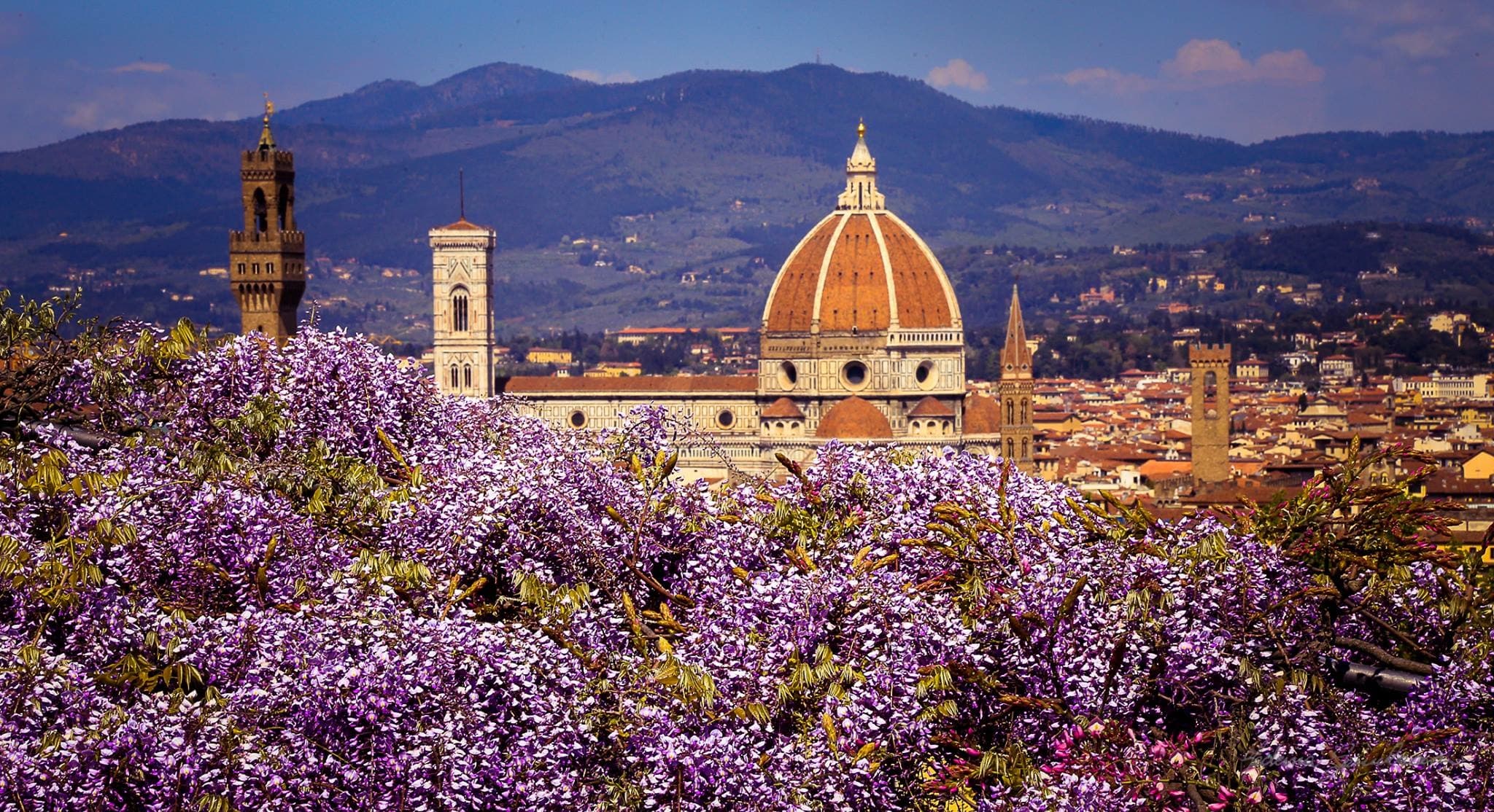 Pisa e Firenze